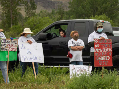 Workers demonstrate during a strike outside of Allan Brothers Fruit on May 16, 2020, in Naches, Washington. Workers from at least six fruit packing facilities in the Yakima County area have gone on strike to protest working conditions amid the COVID-19 pandemic.