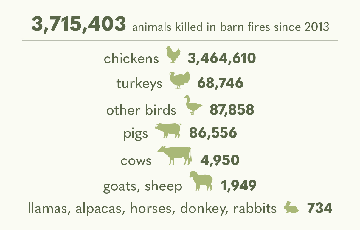 Birds account for the vast majority of barn fire victims.