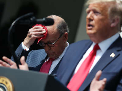 Larry Kudlow dabs sweat from his brow while standing beside trump