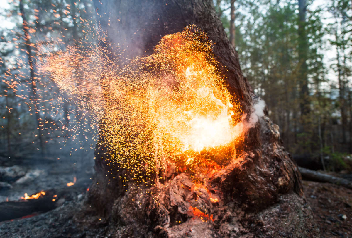 A forest fire in central Yakutia (Sakha Republic), Russia, on June 2, 2020.