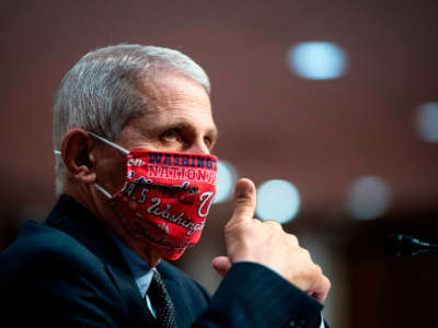 Anthony Fauci, director of the National Institute of Allergy and Infectious Diseases, seen during a hearing on Capitol Hill in Washington D.C. on June 30, 2020.