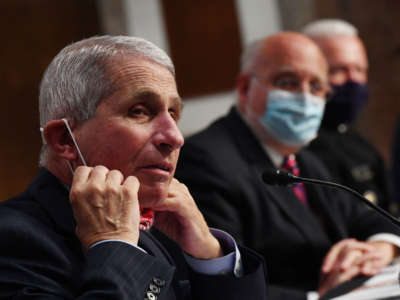 Dr. Anthony Fauci, director of the National Institute for Allergy and Infectious Diseases, testifies at a hearing of the Senate Health, Education, Labor and Pensions Committee on June 30, 2020, in Washington, D.C.