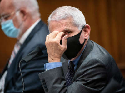 Anthony Fauci, director of the National Institute of Allergy and Infectious Diseases, testifies before the House Energy and Commerce Committee in Washington, D.C., on June 23, 2020.