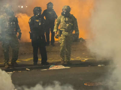 federal police walk through clouds of tear gas that they'd recently shot at protesters