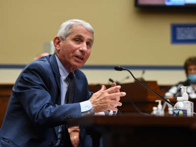 Dr. Anthony Fauci, director of the National Institute for Allergy and Infectious Diseases, testifies before a House Subcommittee on the Coronavirus Crisis hearing on July 31, 2020, in Washington, D.C.