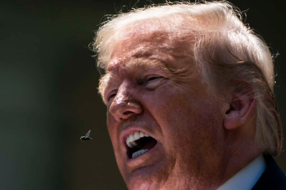 A fly flies by donald trump's open mouth in a way that visually implies that it flew from there