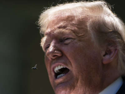 A fly flies by donald trump's open mouth in a way that visually implies that it flew from there