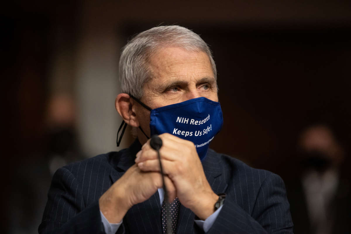 Anthony Fauci, director of National Institute of Allergy and Infectious Diseases at NIH, looks on before testifying at a Senate Health, Education, and Labor and Pensions Committee on Capitol Hill, on September 23, 2020, in Washington, D.C.