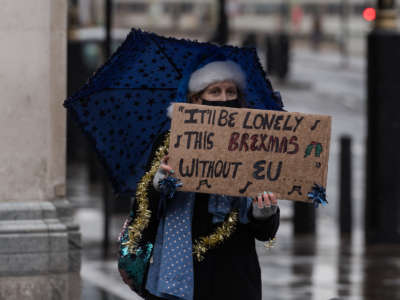 A masked woman holds a sign reading "It'll be lonely this Brexmas without EU"