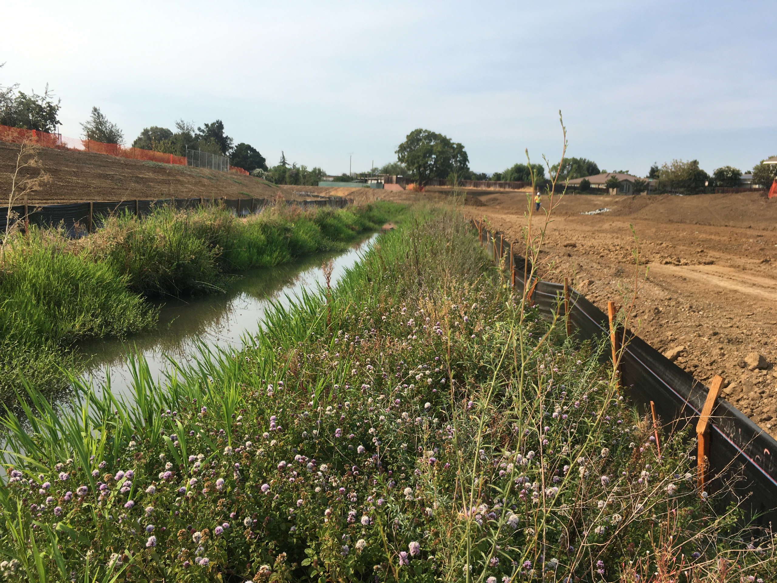 Marsh Creek in north-central California is the site of restoration project that will increase residents’ access to their river.