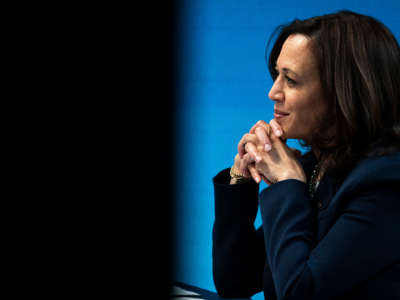 Vice President Kamala Harris attends a virtual roundtable event with participants from local Black Chambers of Commerce on February 5, 2021, in Washington, D.C.