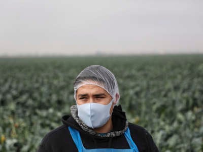 A farm worker stands in a field