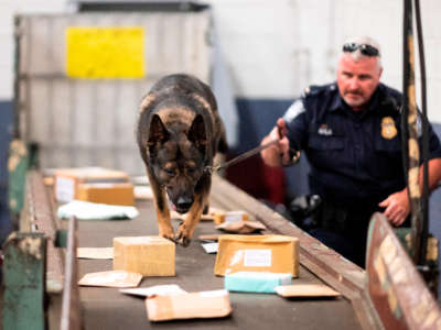 An officer with Customs and Border Protection works with a dog to check parcels for fentanyl.