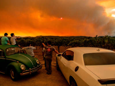 People watch the Walbridge fire, part of the larger LNU Lightning Complex fire, from a vineyard in Healdsburg, California, on August 20, 2020.