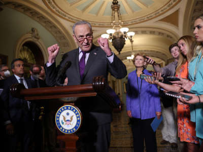 Chuck Schumer speaks to the press