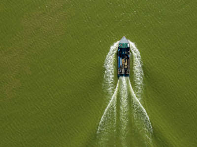 A motor boat drives through green water