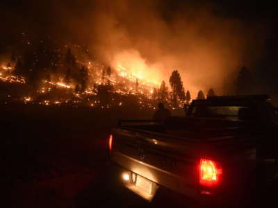 A U.S. Forest Service Public Information Officer surveys the effects of the southeastern flank of the Tennant Fire in California on July 4, 2021.