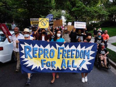 People march behind a banner reading "REPRO FREEDOM FOR ALL" during a protest