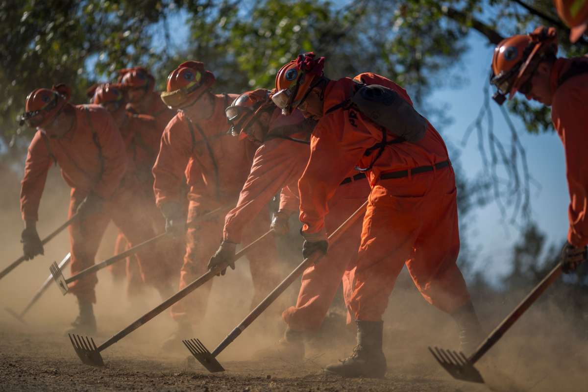Incarcerated persons serving as firefighters from Oak Glen Conservation Camp clear vegetation that could fuel a wildfire near a road under the authority of Cal Fire on September 28, 2017, near Yucaipa, California.