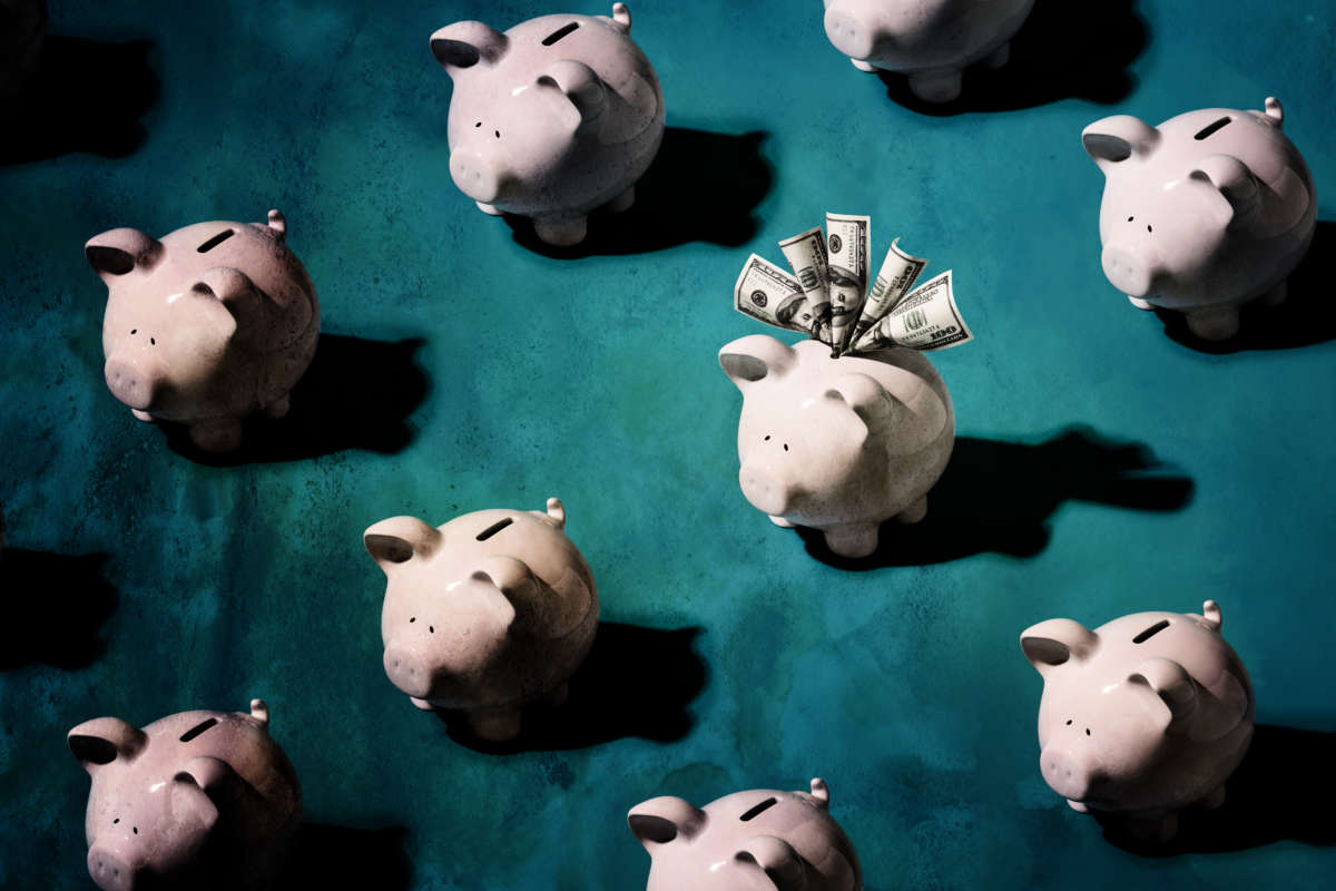 Piggy banks, with only one stuffed with cash
