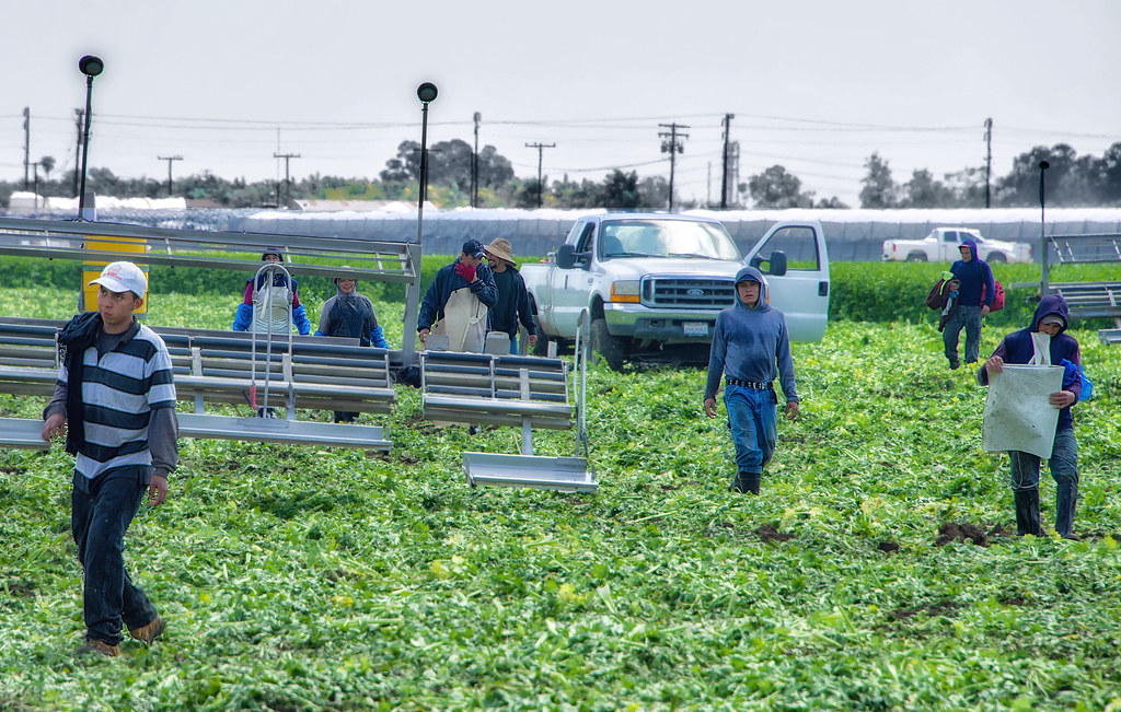 Southern California migrant farmworkers.