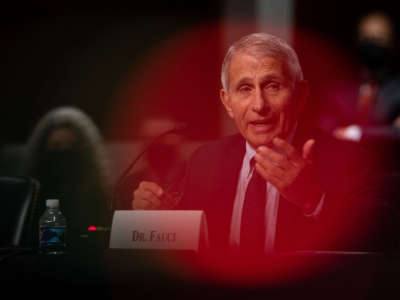 National Institute of Allergy and Infectious Diseases Director Anthony Fauci testifies in the Dirksen Senate Office Building on Capitol Hill on November 4, 2021, in Washington, D.C.