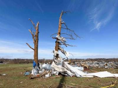 Aluminum siding is seen clinging to a dead tree after a tornado