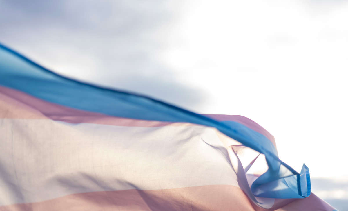 Transgender flag