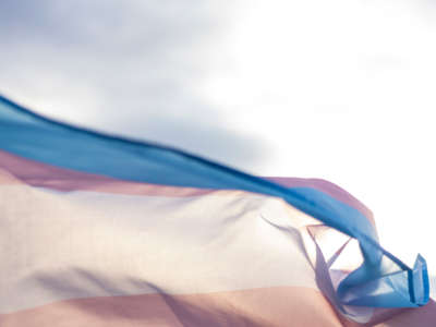 Transgender flag