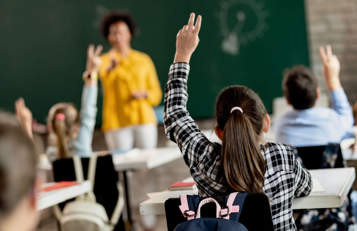 Students raise hands in class