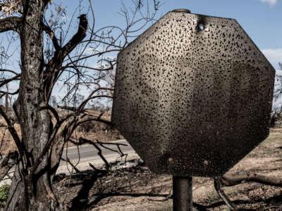 A road stop sign near Agia Anna stands burnt by wildfires that raged in August on the island of Evia, Greece, on September 7, 2021. According to scientists the wildfires were caused by changing climate.