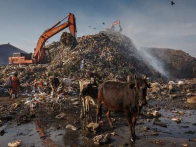 Methane emissions from waste dumping site with cows in India