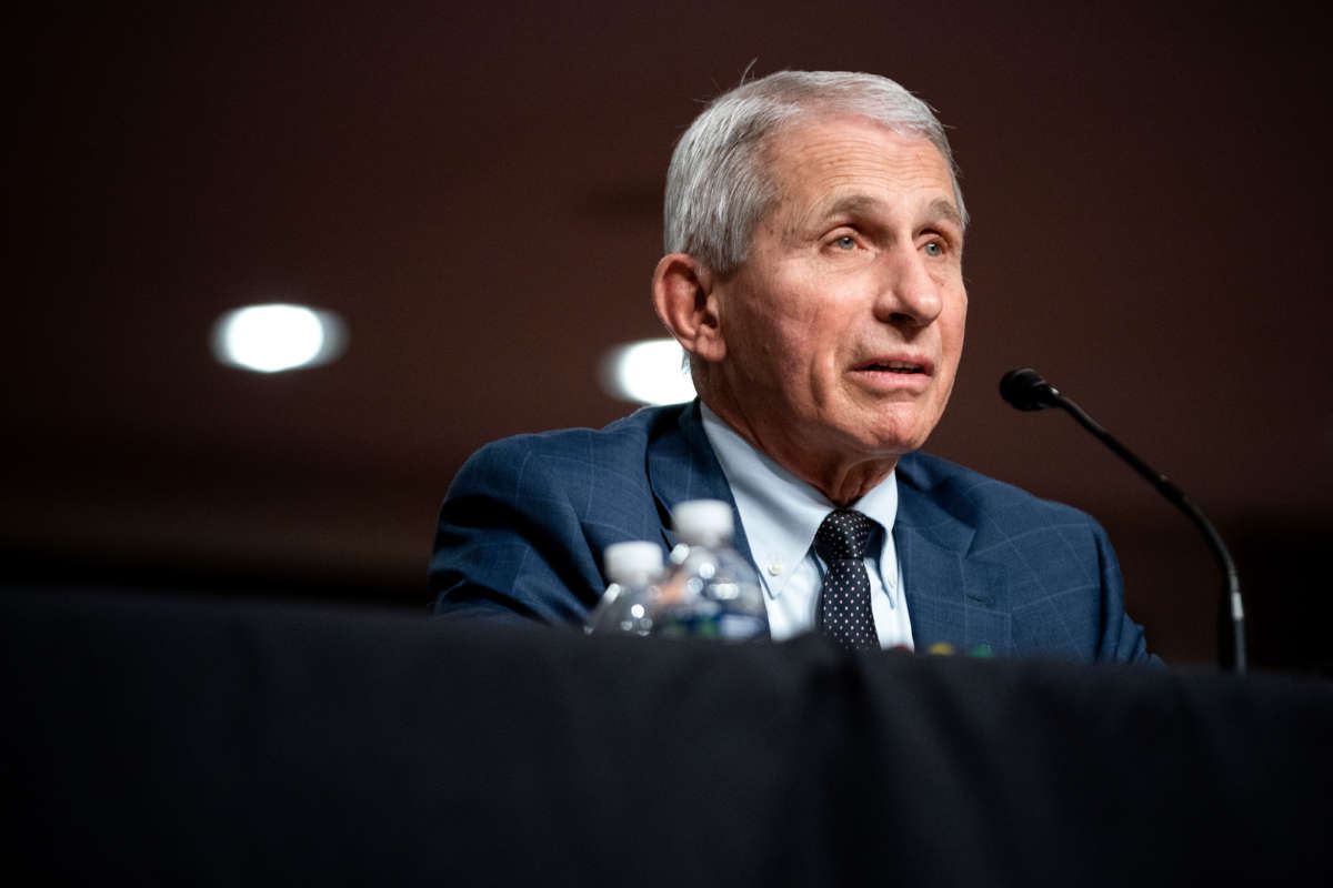 Dr. Anthony Fauci, White House Chief Medical Advisor and Director of the NIAID, testifies at a Senate Health, Education, Labor, and Pensions Committee hearing on Capitol Hill on January 11, 2022, in Washington, D.C.