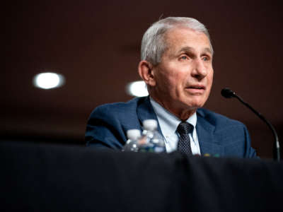 Dr. Anthony Fauci, White House Chief Medical Advisor and Director of the NIAID, testifies at a Senate Health, Education, Labor, and Pensions Committee hearing on Capitol Hill on January 11, 2022, in Washington, D.C.