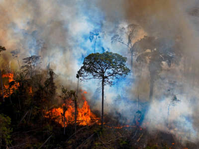 Smoke rises from an illegally lit fire in the Amazon rainforest reserve south of Novo Progresso in the state of Pará, Brazil, on August 15, 2020.