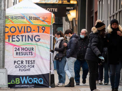 New Yorkers stand in line for free COVID tests