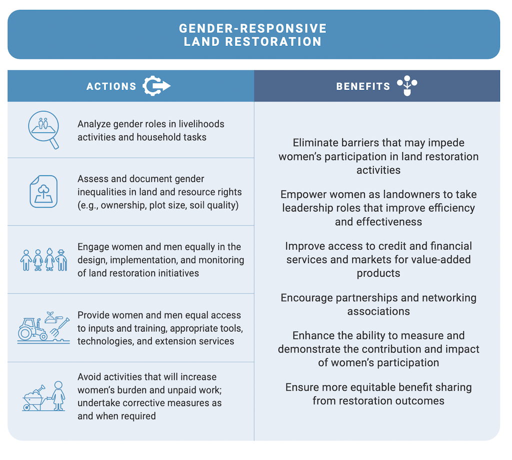 The elements of gender-responsive land restoration identified by the UN’s new Global Land Outlook 2, by which all genders have an equal voice and influence in land use and management decisions and their outcomes.