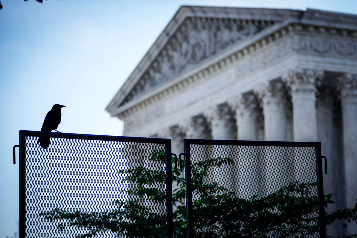 A crow sits on a fence outside the supreme court building