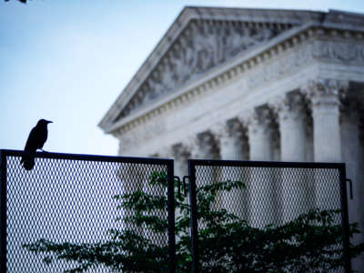 A crow sits on a fence outside the supreme court building