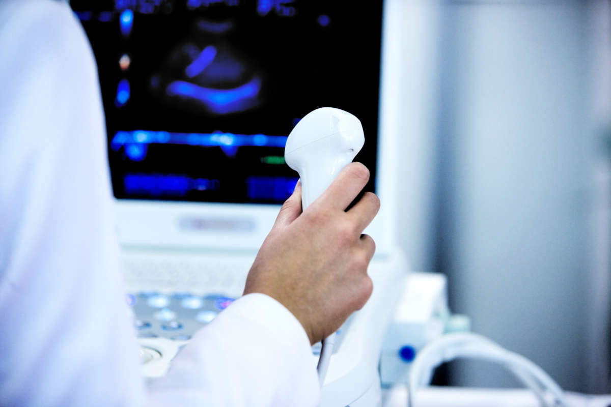 Ultrasound technician's hand holding scanning device.