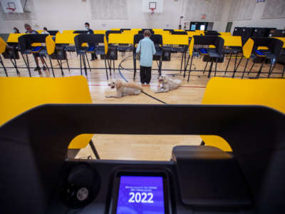 A woman votes at a booth in a gymnasium, flanked by her two unleashed and embarrassingly-groomed dogs