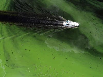 A boat sails through a deepening algae bloom across the Caloosahatchee River on June 27, 2018, in Labelle, Florida.