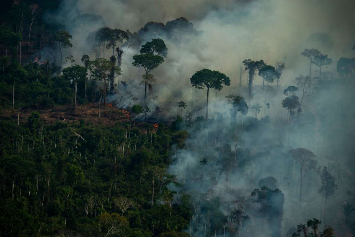 Amazon Rainforest Fire