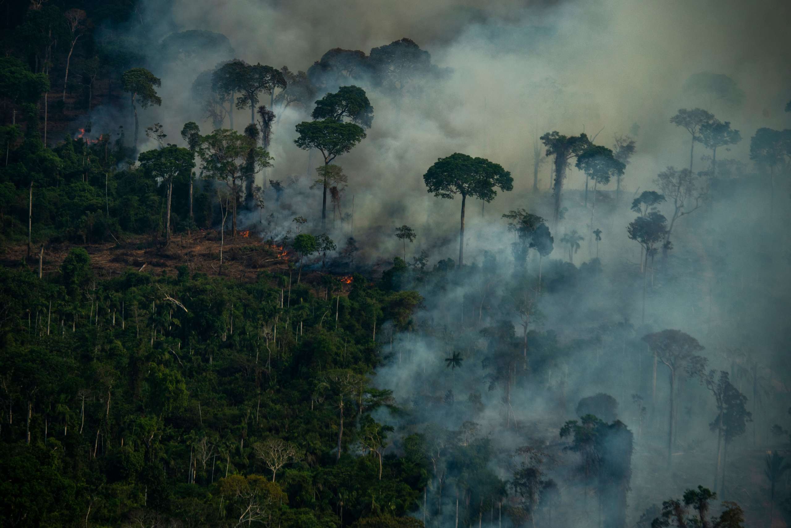 Worst-ever February rainforest data for Brazilian