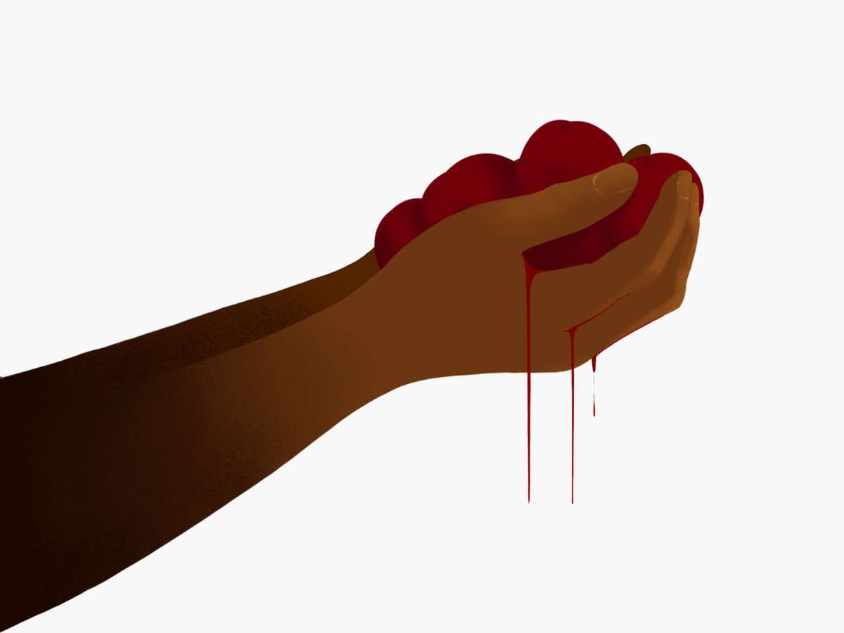 An illustration of a bleeding pair of hands hold red potatoes