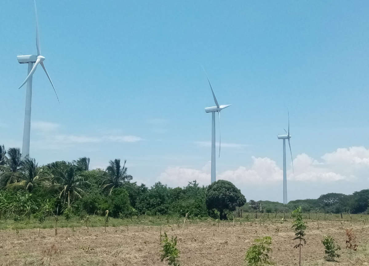 Wind turbines on a wind farm in Oaxaca
