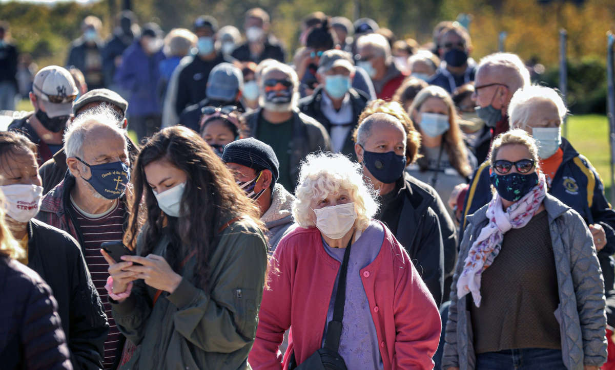 people wait in an outdoor line to vote