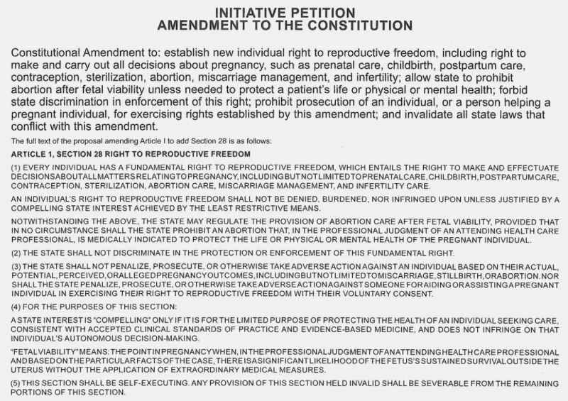 Initiative petition amendment to the constitution