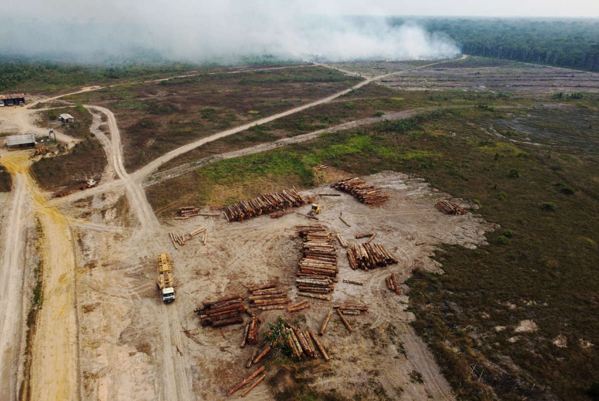 Aerial view of an illegal logging operation in Humaitá, Amazonas state, Brazil, on September 17, 2022.