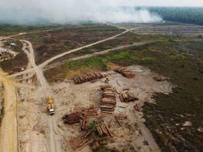 Aerial view of an illegal logging operation in Humaitá, Amazonas state, Brazil, on September 17, 2022.